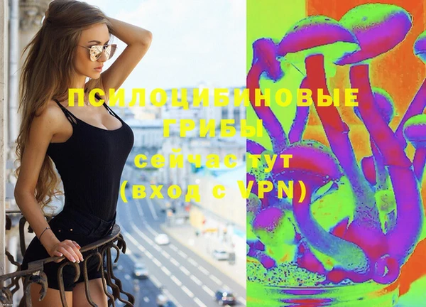 соль ск Нея