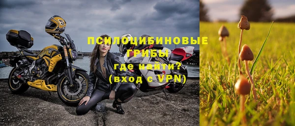 шишки Нефтегорск
