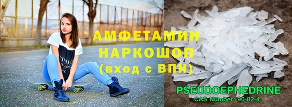 индика Богородицк