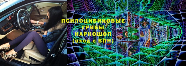 соль ск Нея