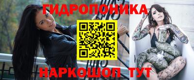 гидропоника Камышлов