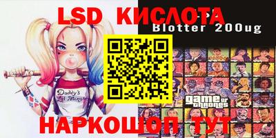 гидропоника Камышлов