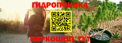 гидропоника Камышлов