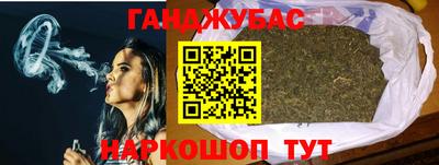 гидропоника Камышлов