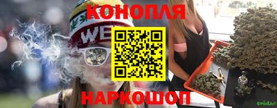 гидропоника Камышлов