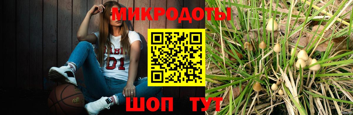 Псилоцибиновые грибы Cubensis Уфа