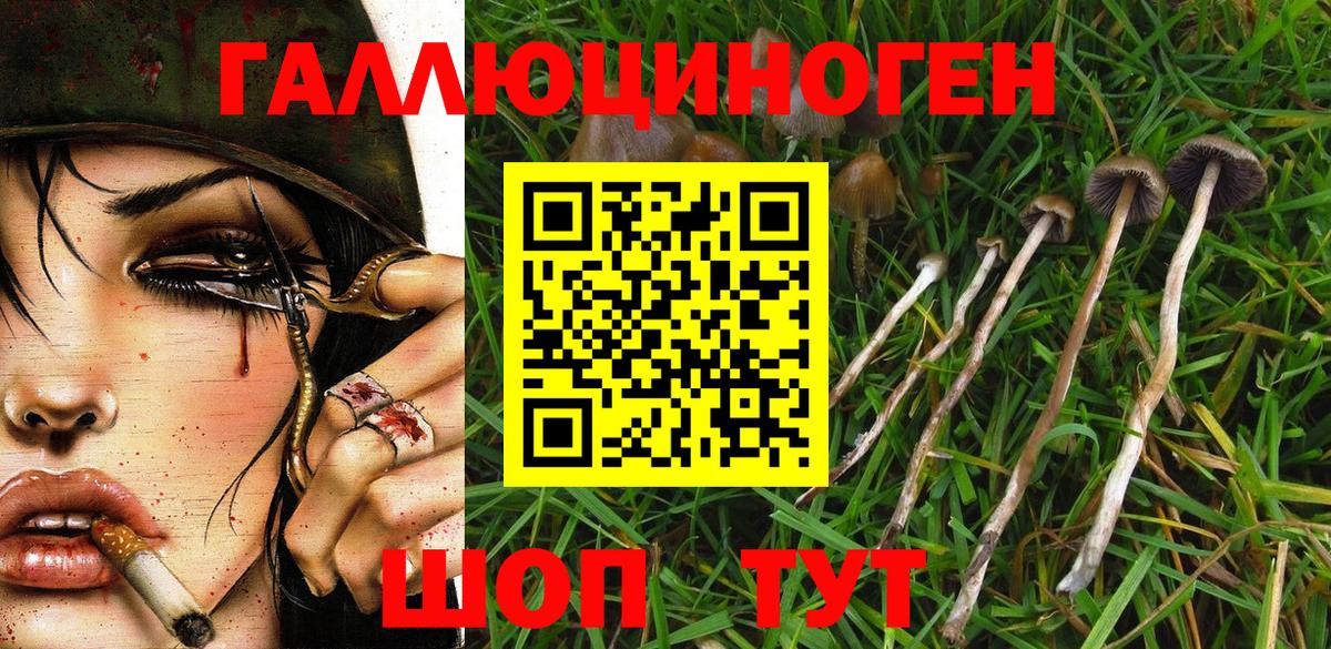 Галлюциногенные грибы мицелий Уфа